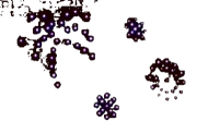 formações de drones show de luzes pirotecnia digital fogos de artificio cvc CVC